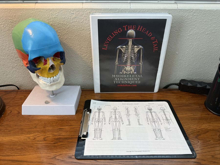 Alex's intake desk with posturology assessment chart and anatomy references